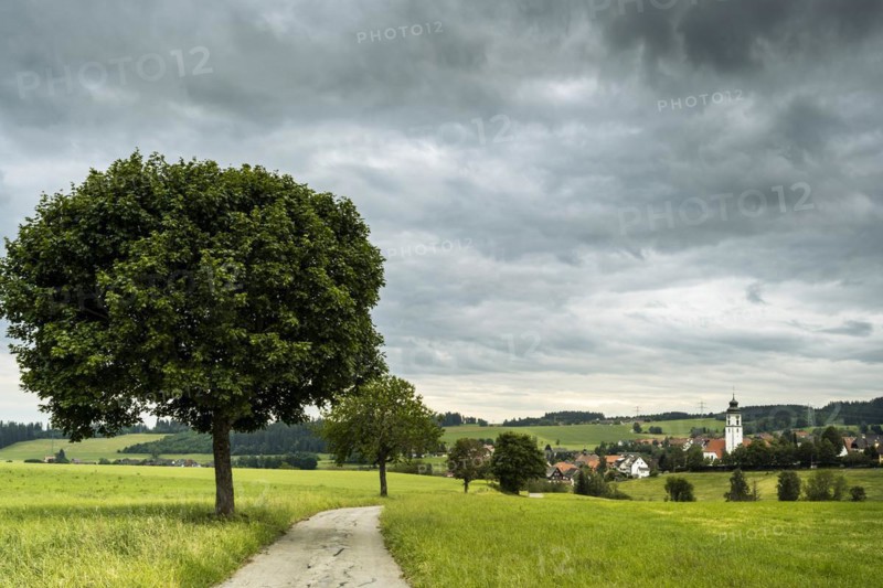 A village in the Black Forest with a church