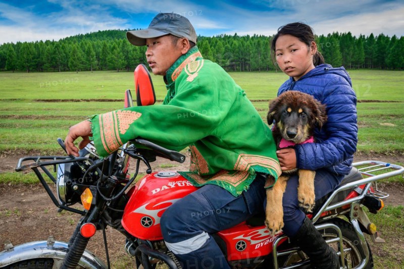 Children finally find their baby dog. Bulgan Province