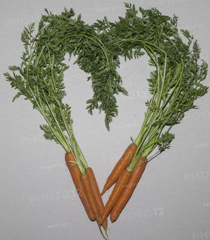 Carrot