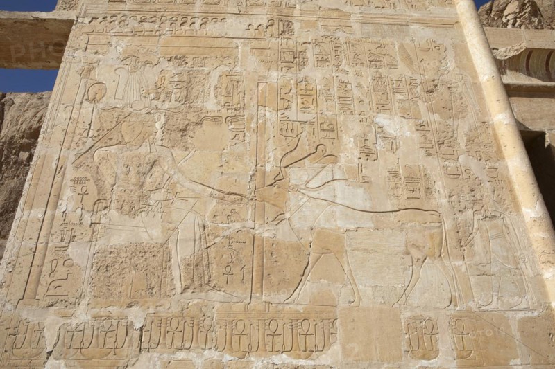 Rock drawing in the Temple of Hatshepsut