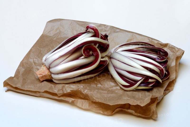 Radicchio