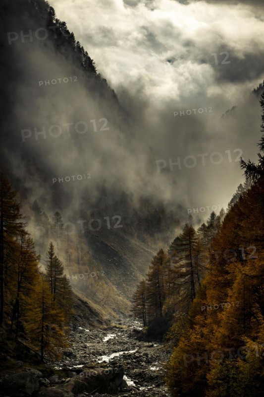 Autumn trees in gorge backlit with threatening cloudy sky