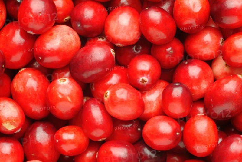 Ripe fruits of the cranberry