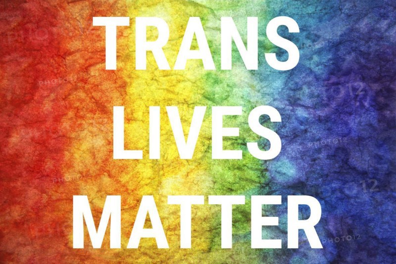 Trans lives matter words on LGBT textured background