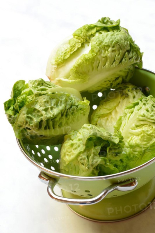 Baby Salad in Kitchen Strainer