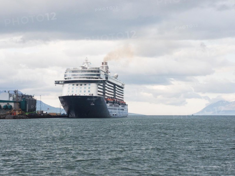 Cruise ship