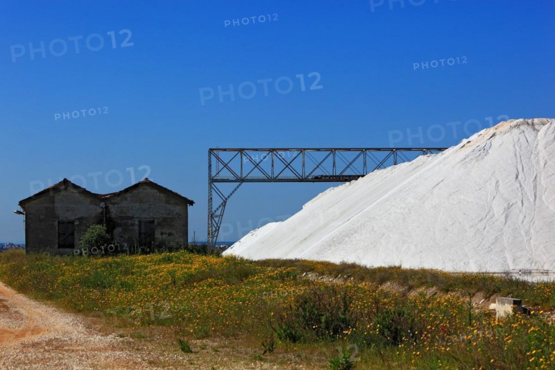 Salinas