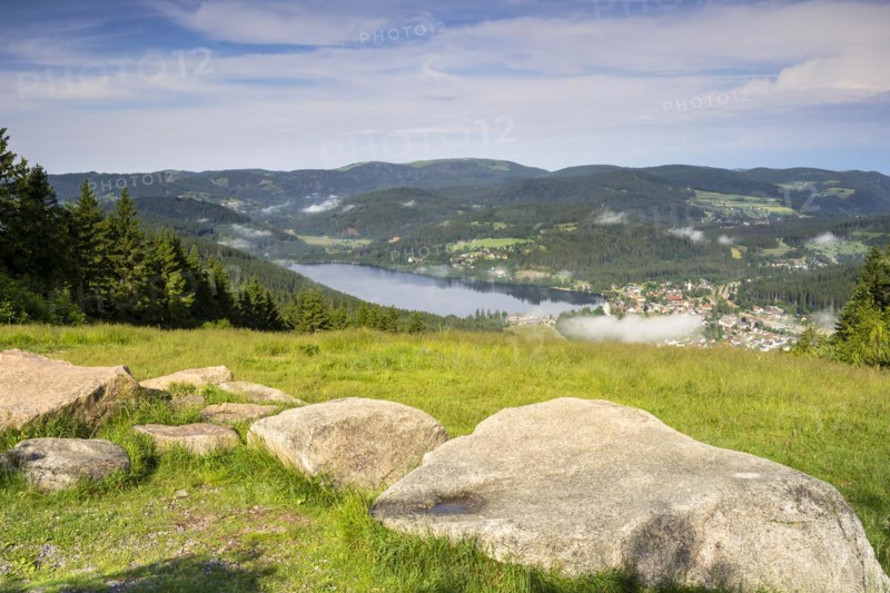 Landscape with meadows