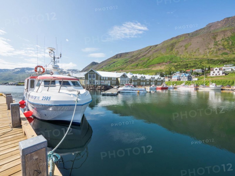 Boats in the harbour