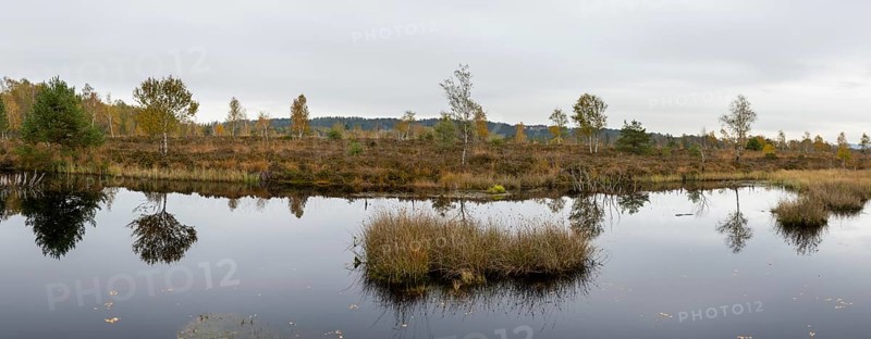 Autumn in the Kendlmuehlfilzen high moor