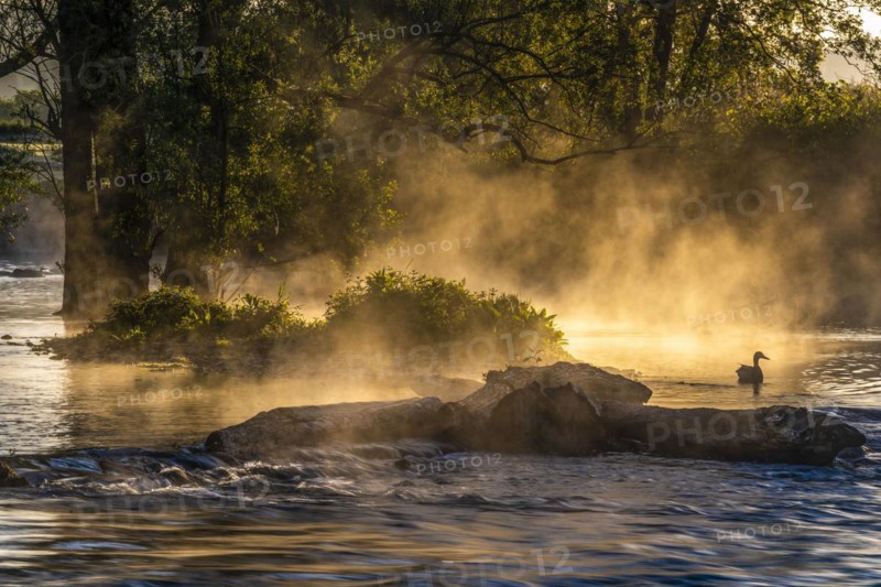 Sunrise and morning fog in the Ruhrauen near Echthauser Weir