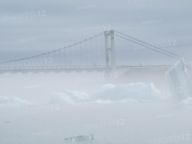 Landscape in the fog