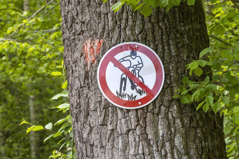 Cycling prohibited. Prohibition sign for mountain biking in a wooded area near Uhingen