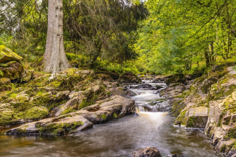 The upper reaches of the Rur