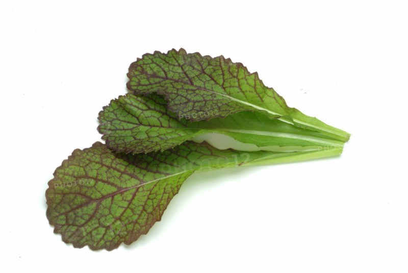 Lettuce