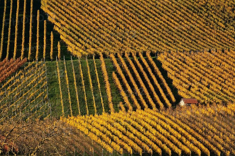 Drone image