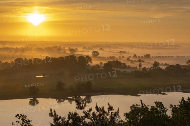 View from the Kniepenberg lookout tower of sunrise and morning fog in the Lower Saxony Elbe floodplain near Neu Darchau