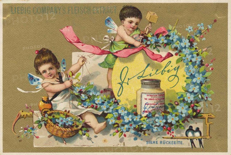 Series of pictures Flower Arrangements and Skating