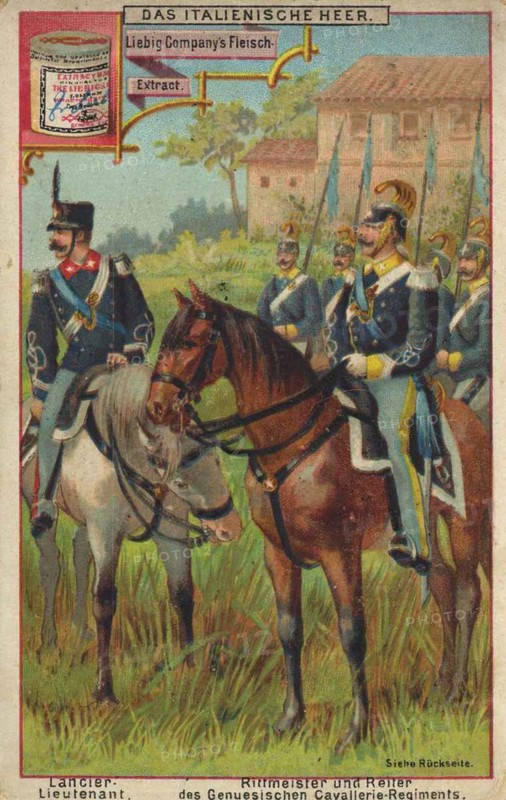 The Italian Army