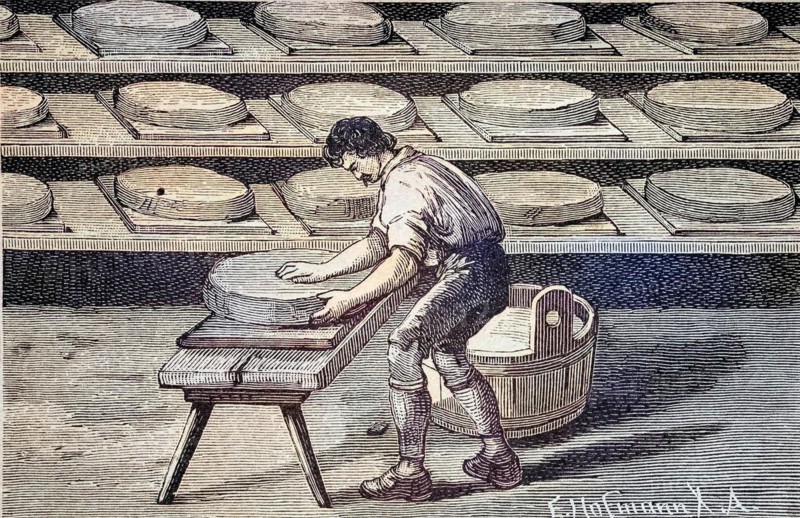 Cheese making