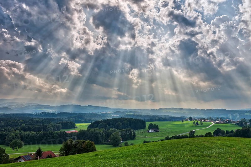 Sunbeams