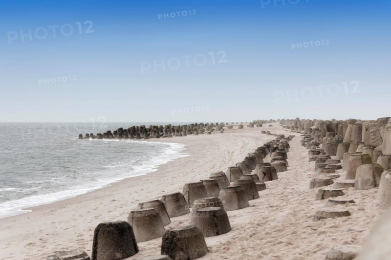 Tetrapods