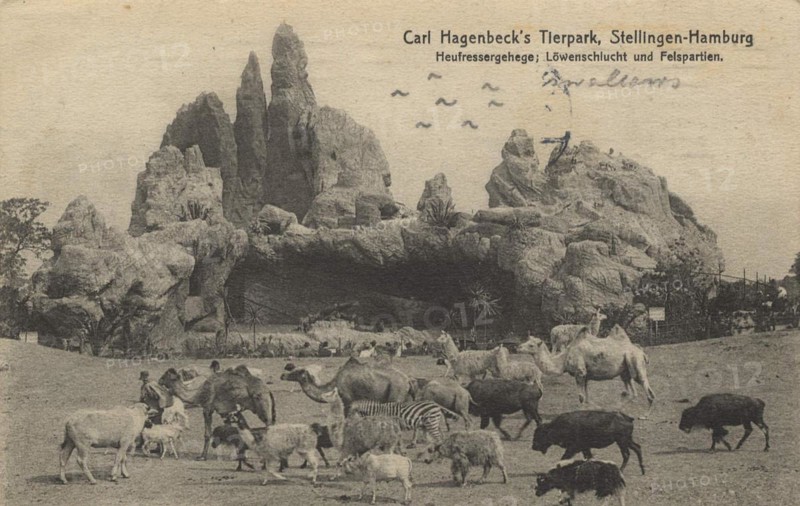 Hay feeder enclosure and lion gorge in Hagenbeck Zoo