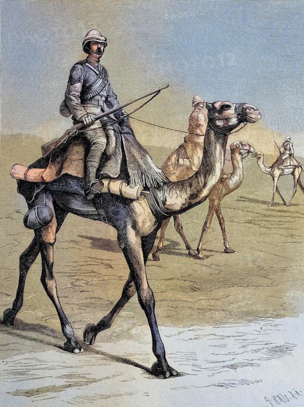 English Camel Riders in Egypt
