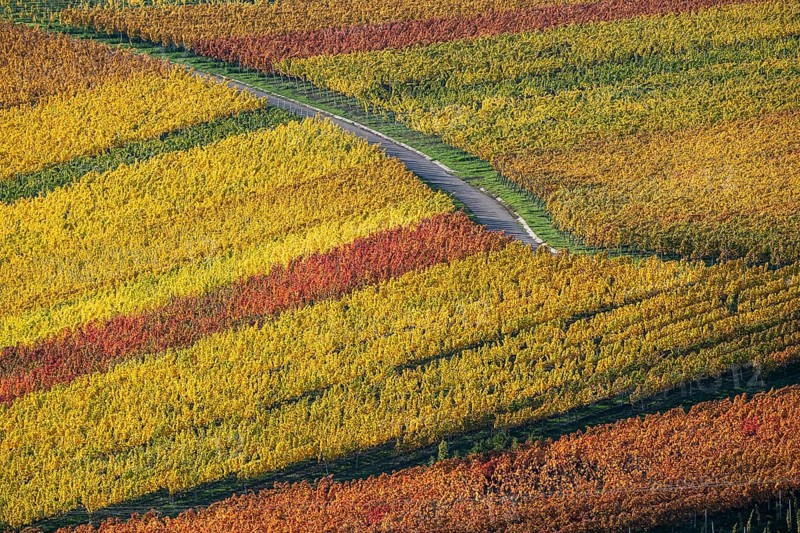 Drone image
