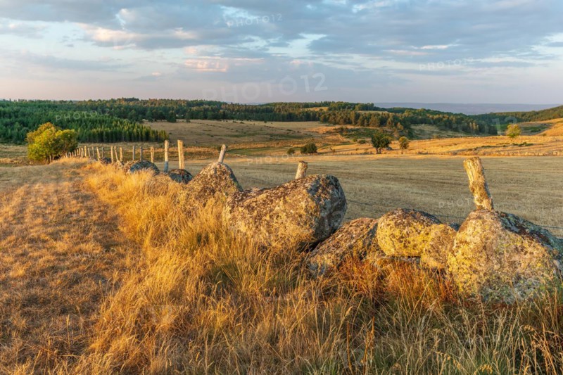 Landscape of Cantal at sunset. France