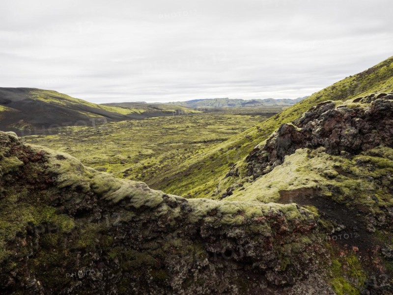 Moss-covered volcanic landscape