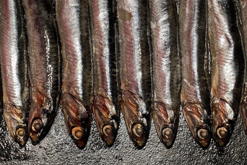 Anchovies