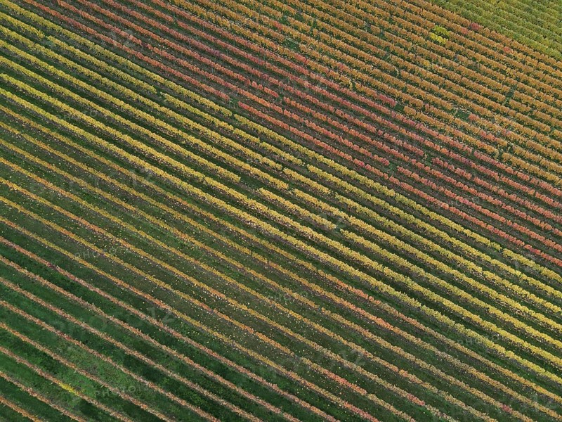 Drone image