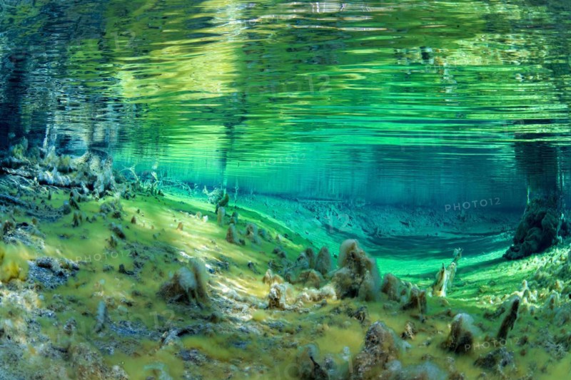 Underwater photo of the spring pool