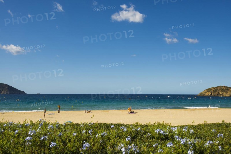 Sandy beach beach
