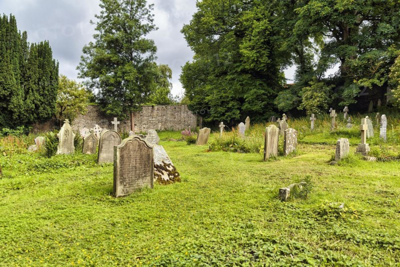 Old gravestones in a meadow