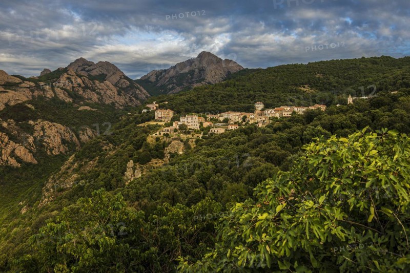 Piana