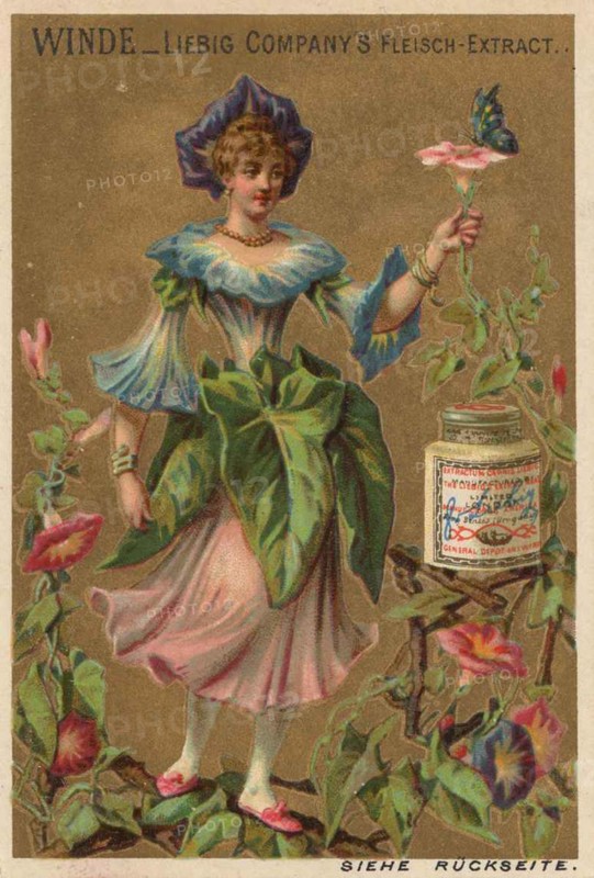 Picture series Flower Girl 2