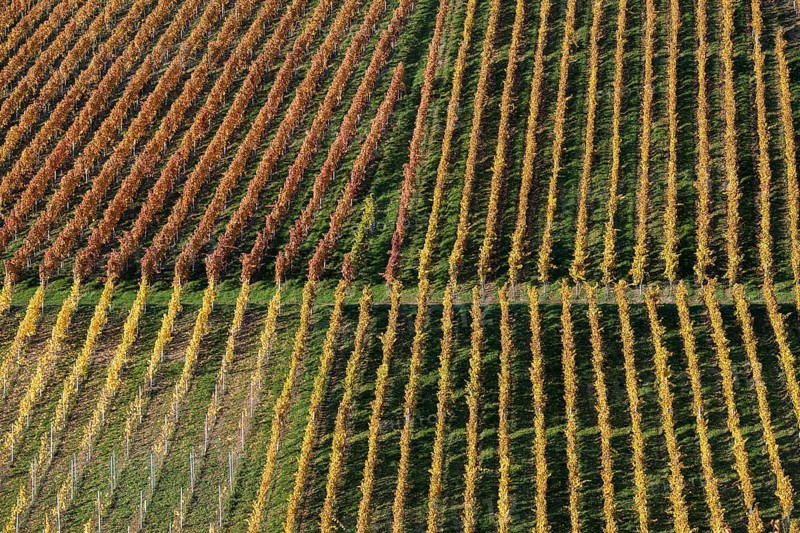 Drone image