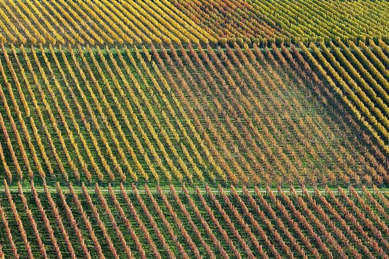 Drone image