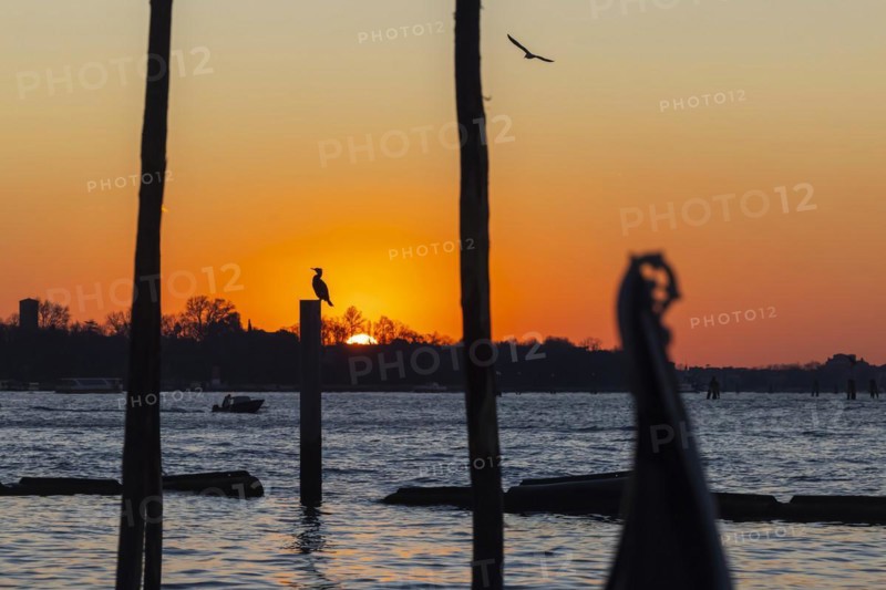 Sunrise at the Canale della Giudecca
