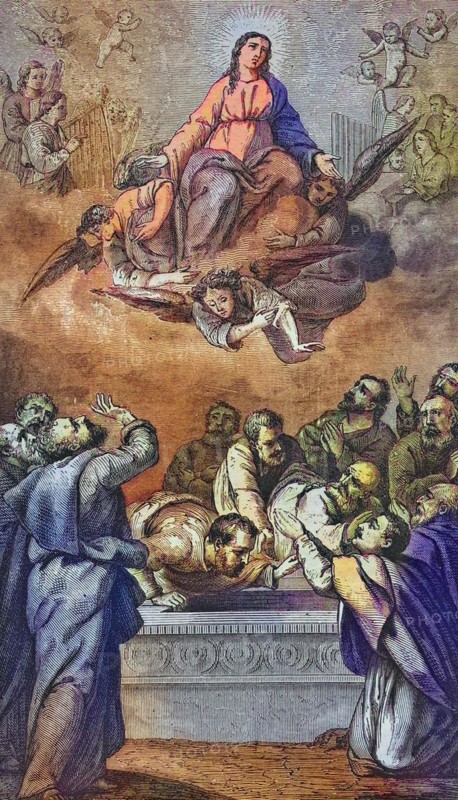 Biblical History