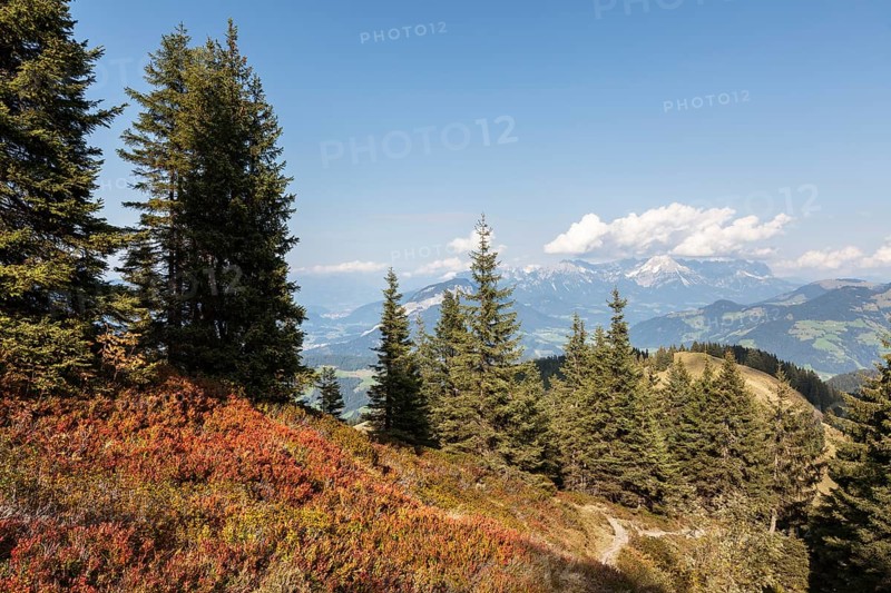 Kitzbuehel Alps