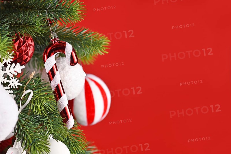 Candy cane Christmas tree ornament hanging from branch in front of red background