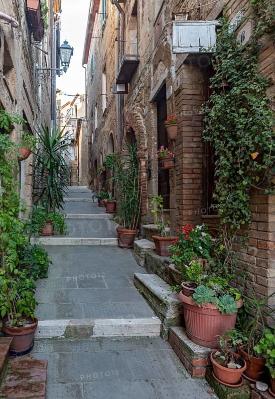 Street with flowerpots