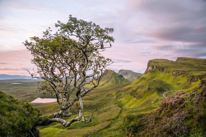 View of rocky landscape Quiraing at sunrise