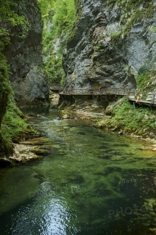 A stream