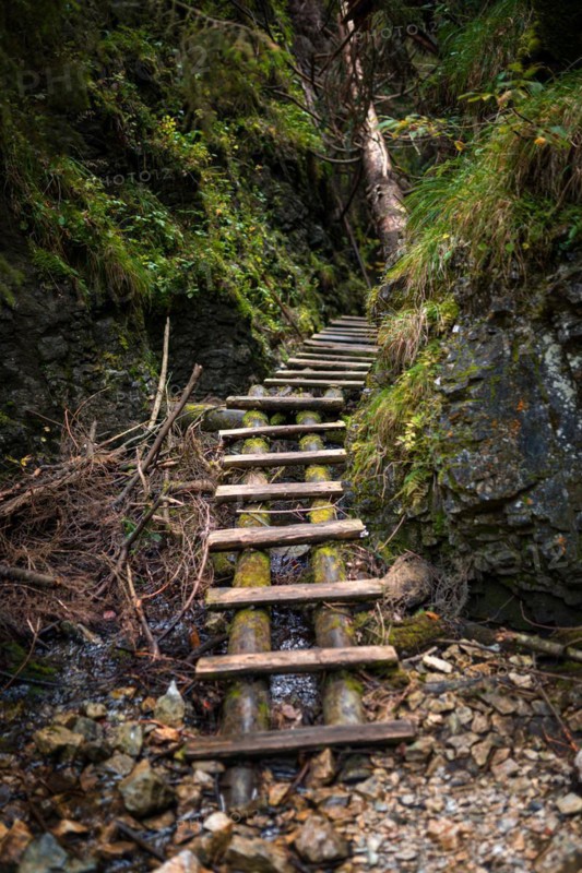 Wooden ladders over the stream in the gorges of the Slovak Paradise. Slovakia
