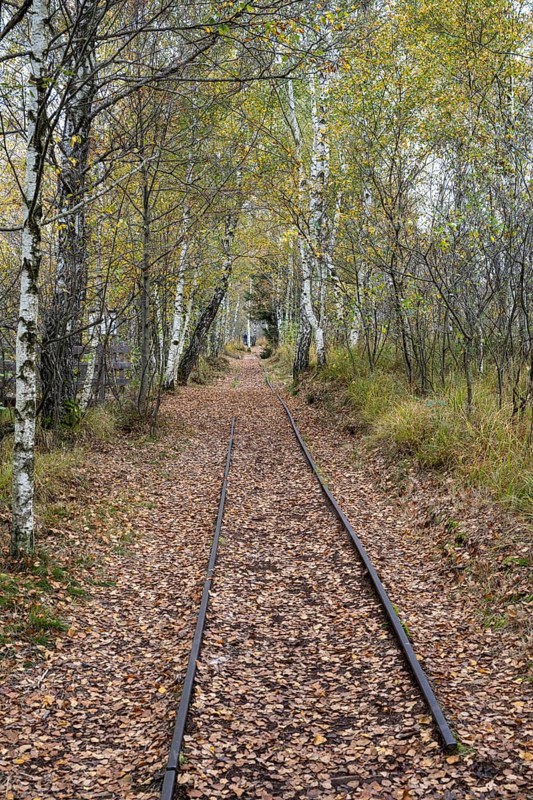 Autumn in the Kendlmuehlfilzen high moor
