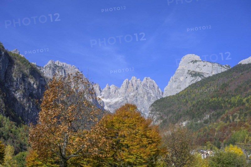 Mountains of the Brenta Group and autumn coloured trees